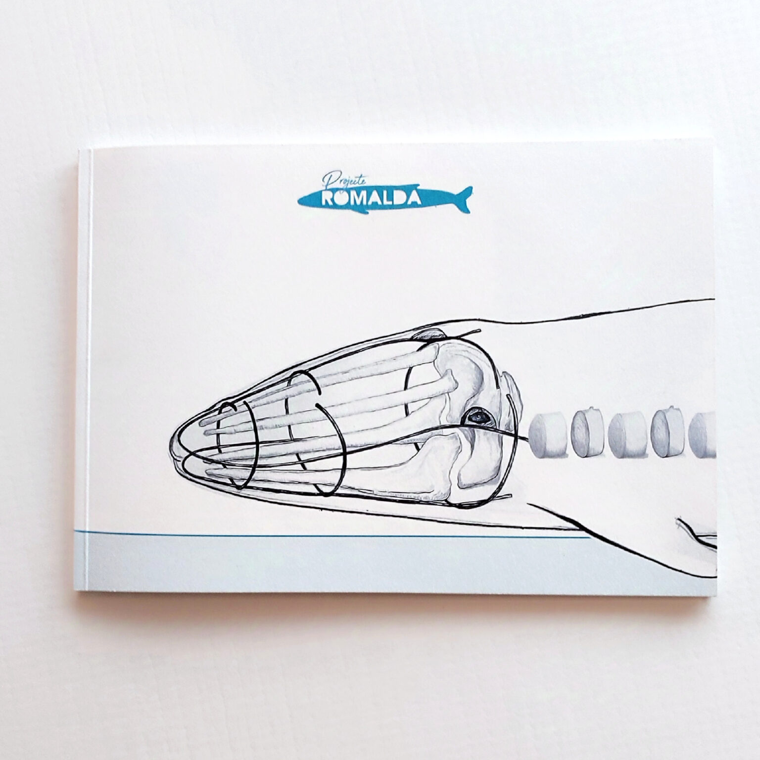 Book page with whale illustration and Projeto Romalda title