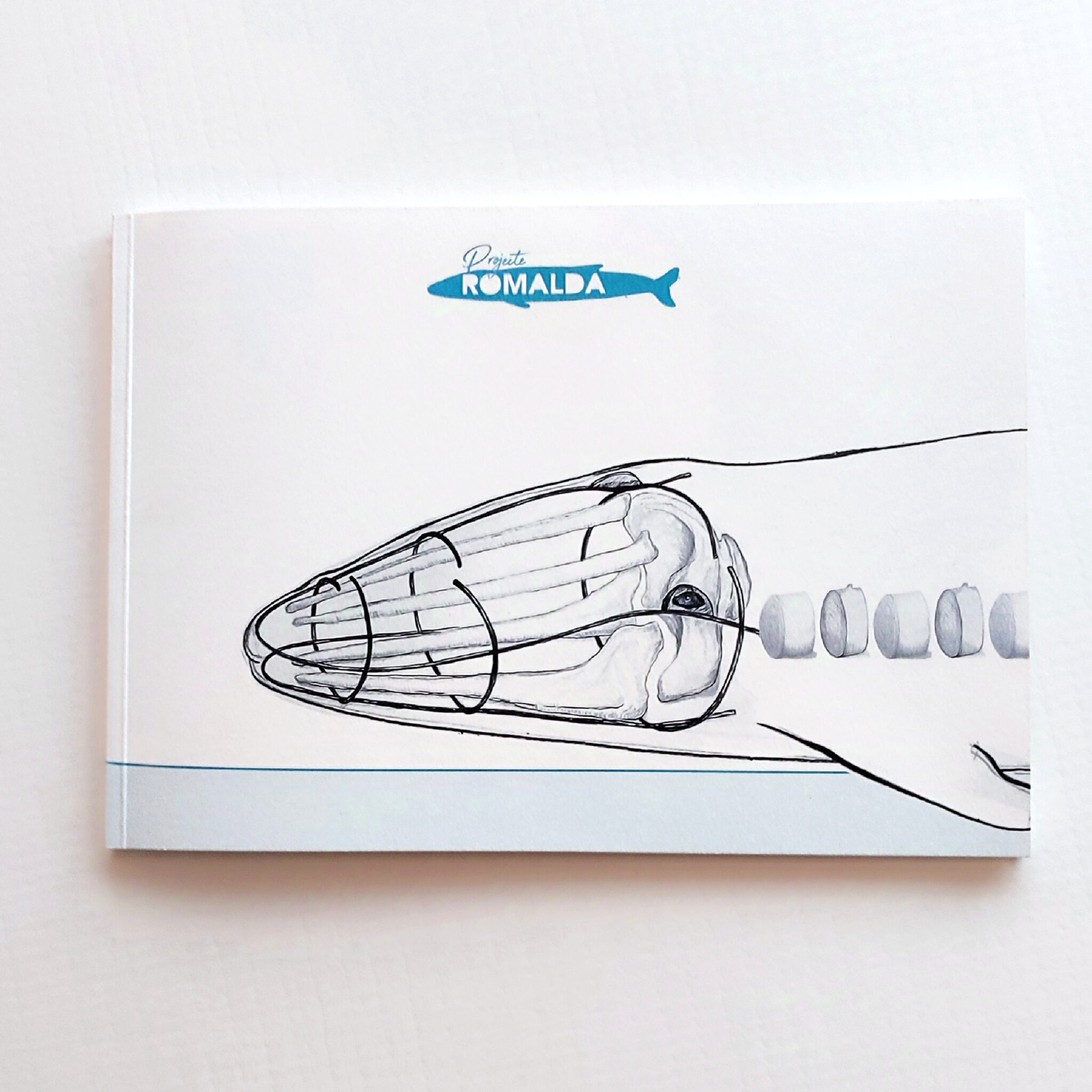 Book page with whale illustration and Projeto Romalda title