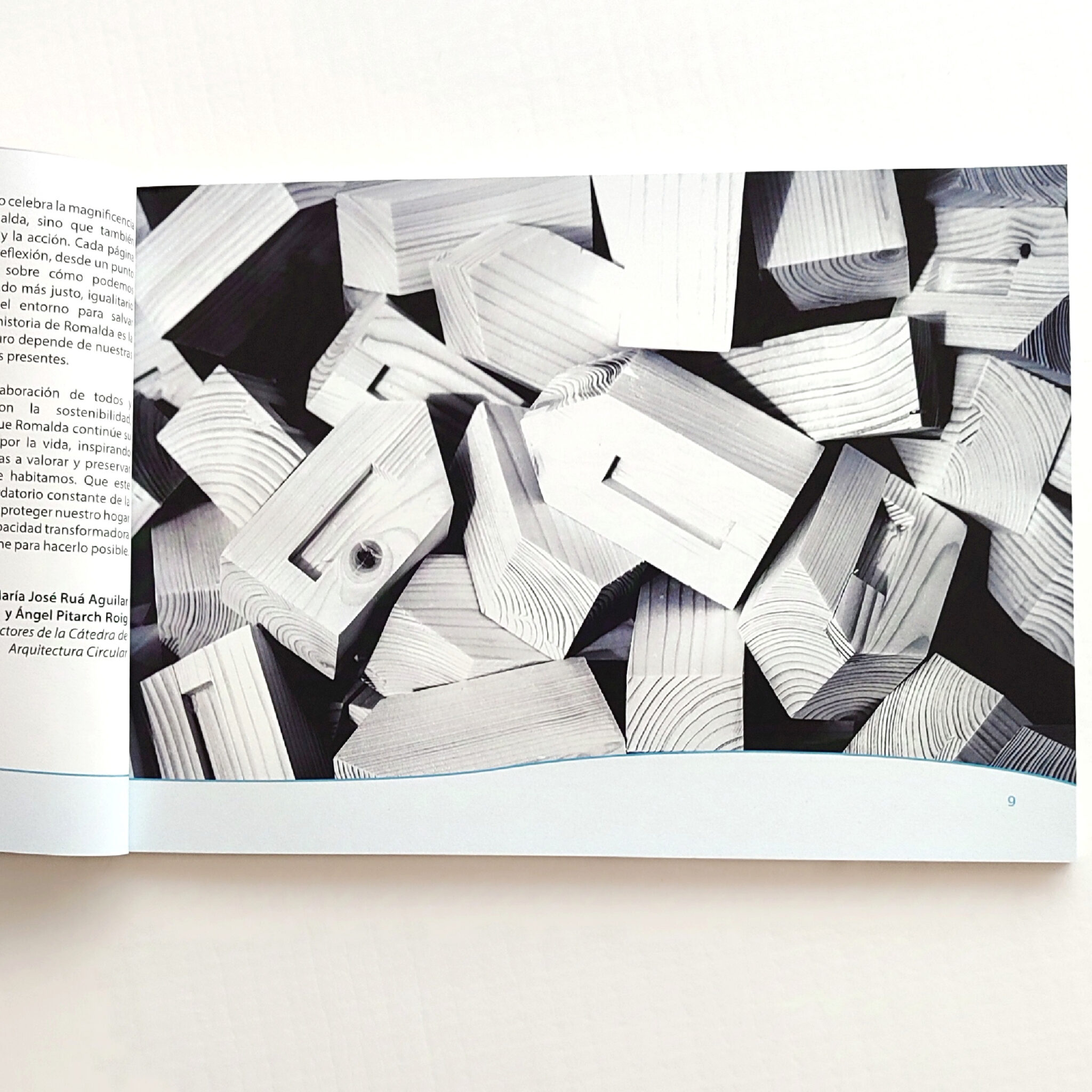 Scattered carved wooden blocks on magazine page